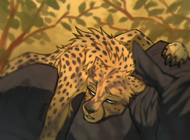 Redraw: Hang on, Cheetor
