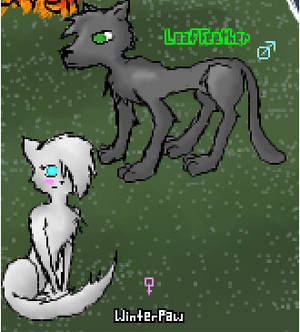 Leaffeather and Winterpaw