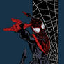 Ultimate Spider-Man by Sheldon Goh (Colored)