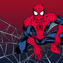 Spider's Web (Colored)