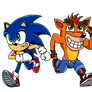 Sonic and Crash