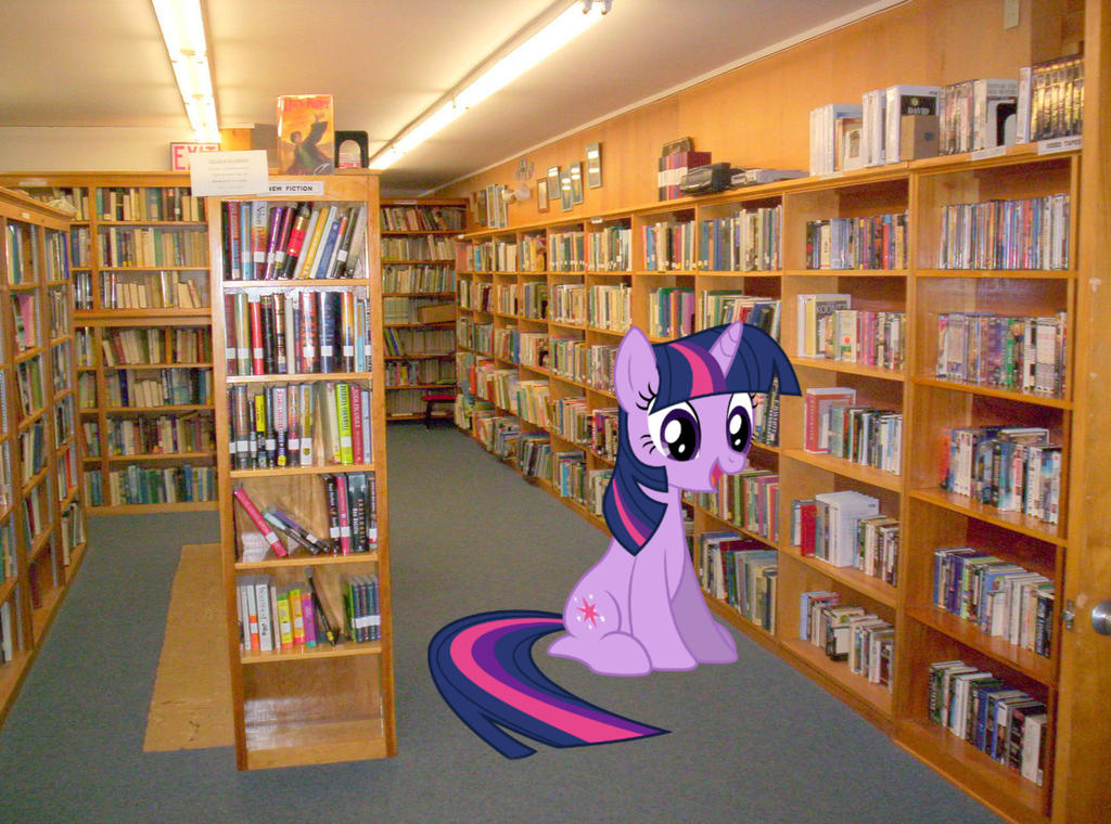 Twilight At Library mlp in real mlp in real life by unknownartist111 on ...