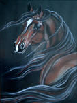 Friend of wind by Lissa75