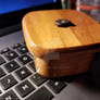 AmmoniteWoodenBox1