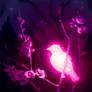Bioluminescence - Compassion