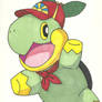 Franklin the Turtwig