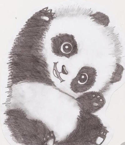 Baby Panda By Esthersmart1993 On Deviantart Baby Panda By Esthersmart1993 On Deviantart