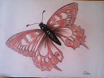 Red Butterfly 2