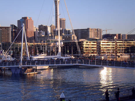 RWC 2011 - Auckland Viaduct