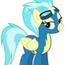 Wonderbolts - Misty Fly