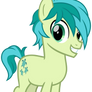 Sandbar the Pony
