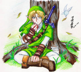 Link:Rest and...by LadyShieru