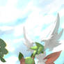 Sky and Land -Shaymin-