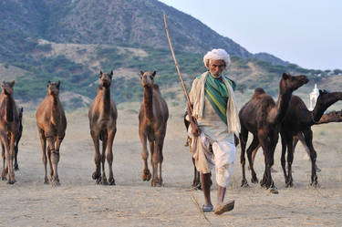 Pushkar Camel Fair