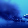 blue drop