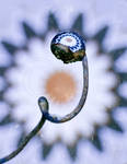 flower drop b3 by dini25