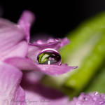 240109b by dini25
