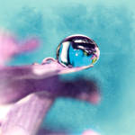 250109 by dini25