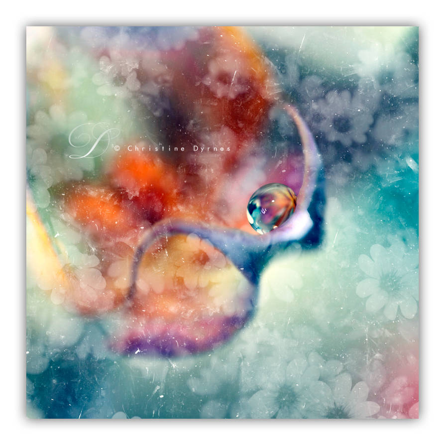 141407 0056 by dini25 141407 0056 by dini25