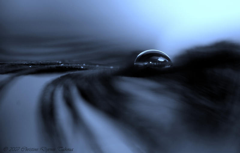 Blue Drop Landscape