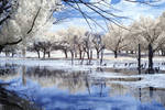 Eco Park IR by PeteLatham