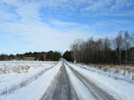 Winter Country Road