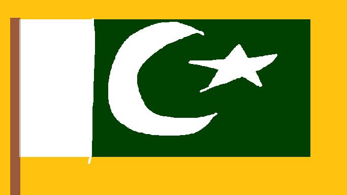 Pakistani Flag