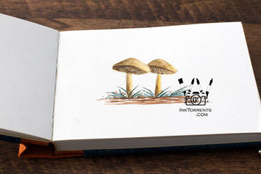 InkFortnight Day 2 - Wild Mushrooms