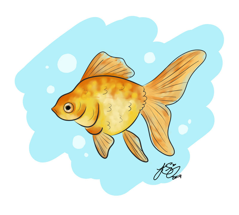 Deviantart 2007 Goldfish Goldfish by VenuePeach on DeviantArt