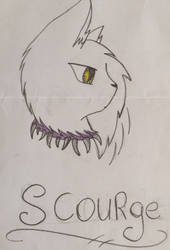 Scourge