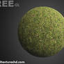 Grass Ground Seamless Texture PBR HighRes free 4K