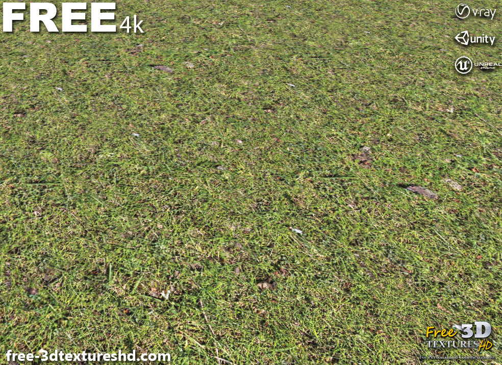 Grass Ground Seamless Texture PBR HighRes free 4K by free-3dtextureshd ...