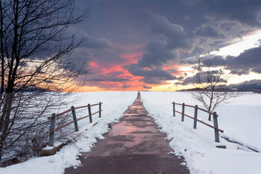 Snowy Path