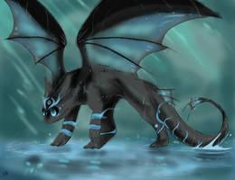 Water toothless