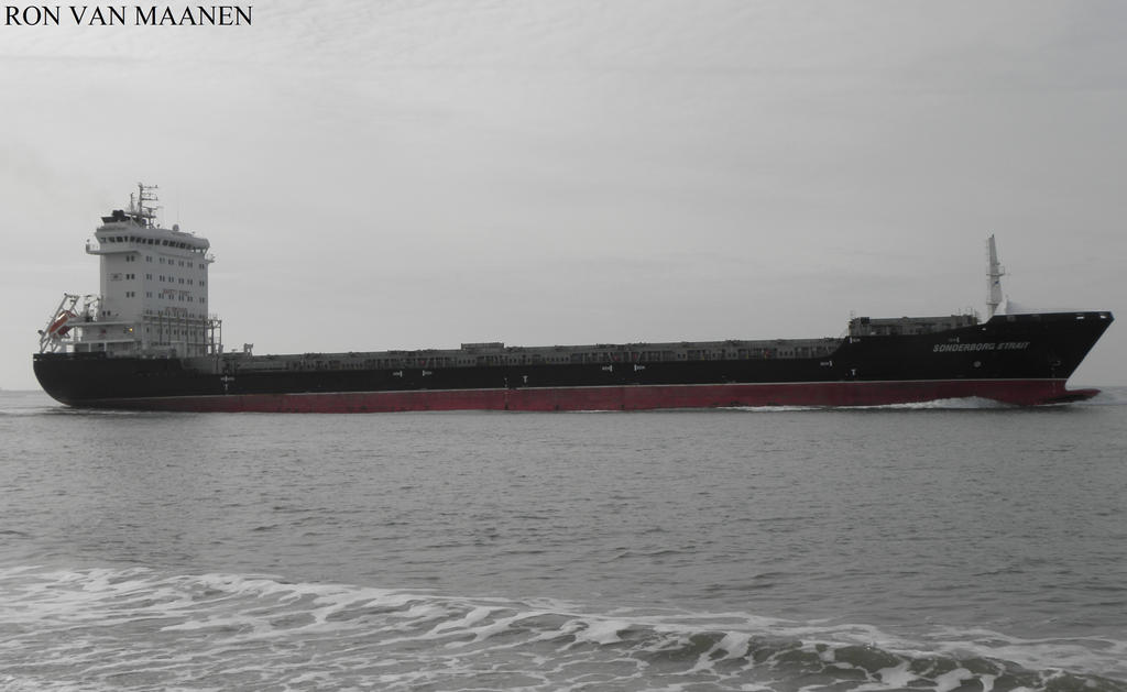 German container ship Sonderborg Strait 2012-