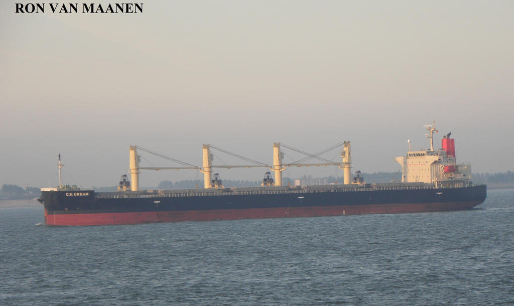 Japanese bulk carrier C.S. Dream 2020-