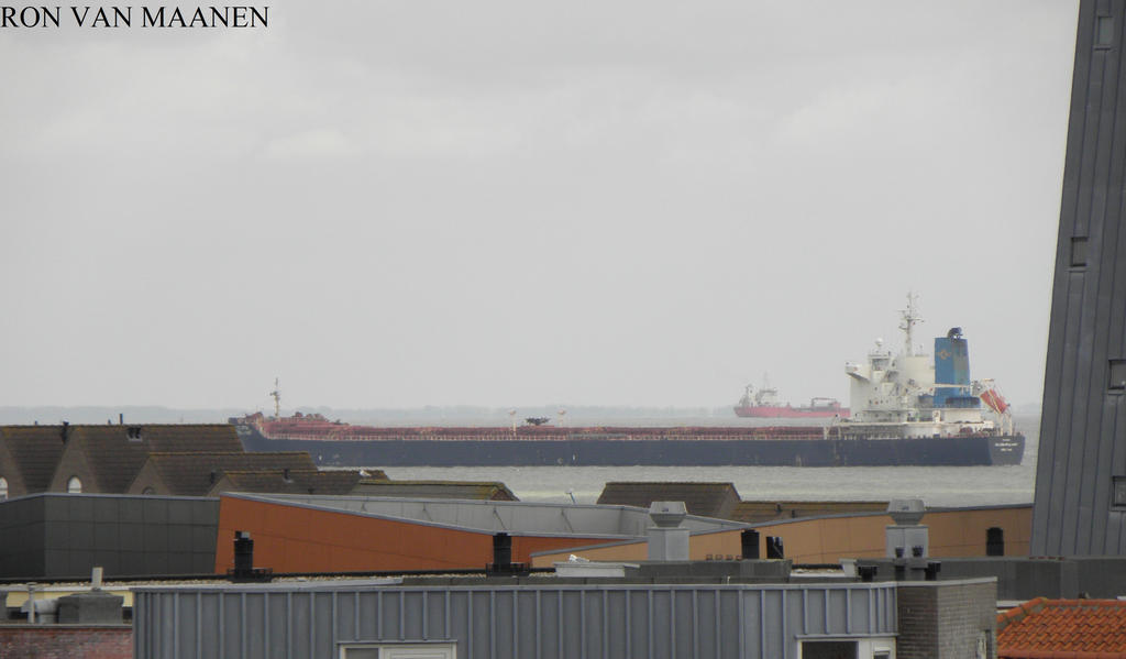 Singapore bulk carrier Golden Brilliant 2013-