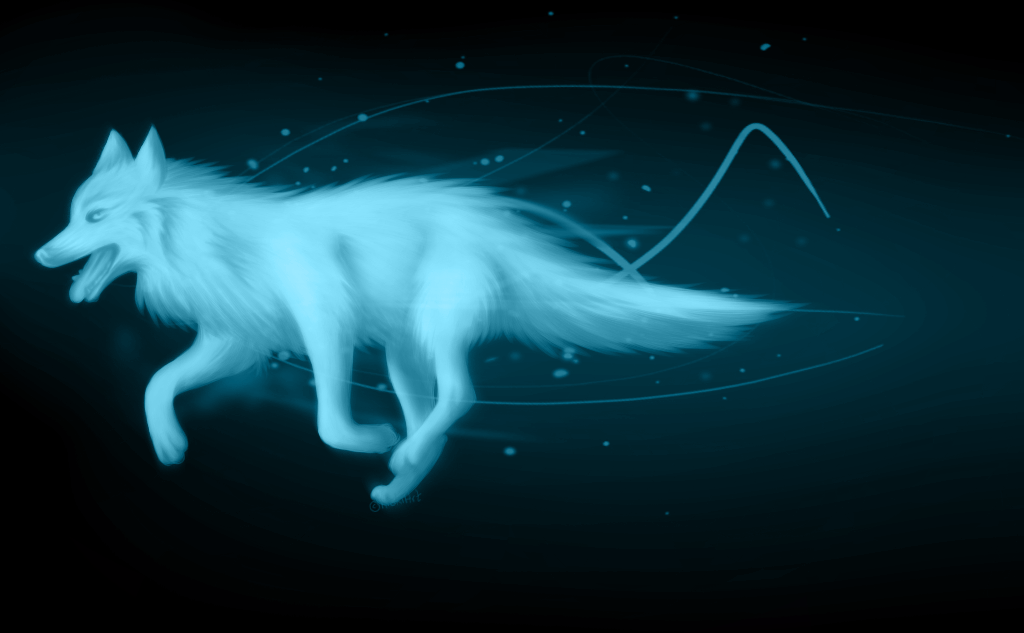 picture White Glowing Wolf Pictures blue glow wolf by kiakiart on deviantart