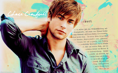 Chace Crawford Wallpaper