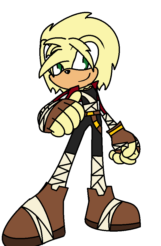 .:.Ryo the Echidna vercion sonic boom!.:.