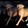 Breyer Companion Animals - Labrador Retrievers