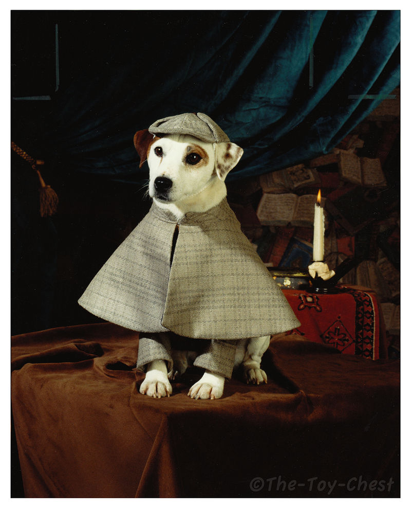 Wishbone Press Photo - Sherlock Holmes