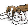 Douglas Doodles - Romeo Boxer And Juliet Bichon