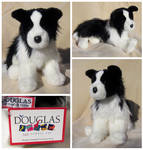 Douglas Medium Floppy Dogs - Chase Border Collie