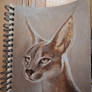 Caracal