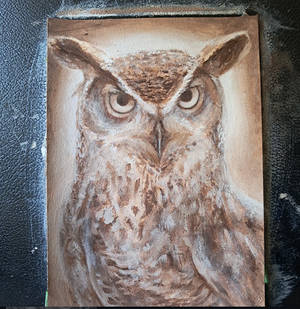 Great Horned Owl