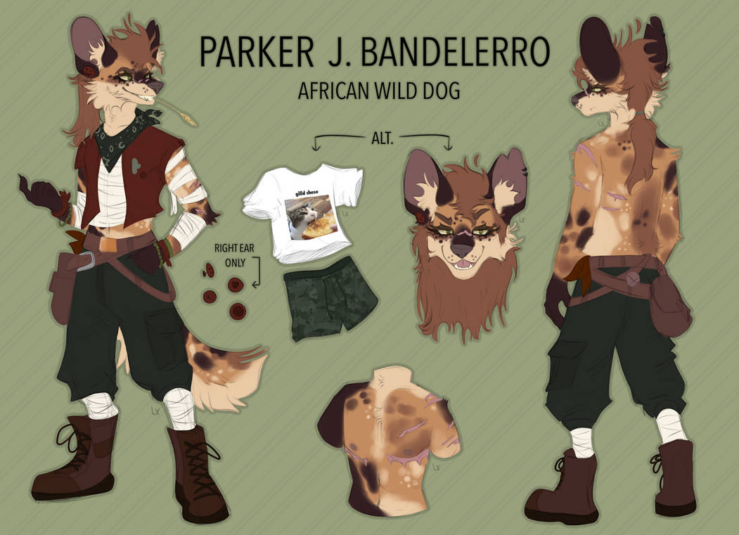 Fursona reference sheet by quixtyyy on DeviantArt