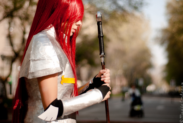 Fairy Tail: Erza