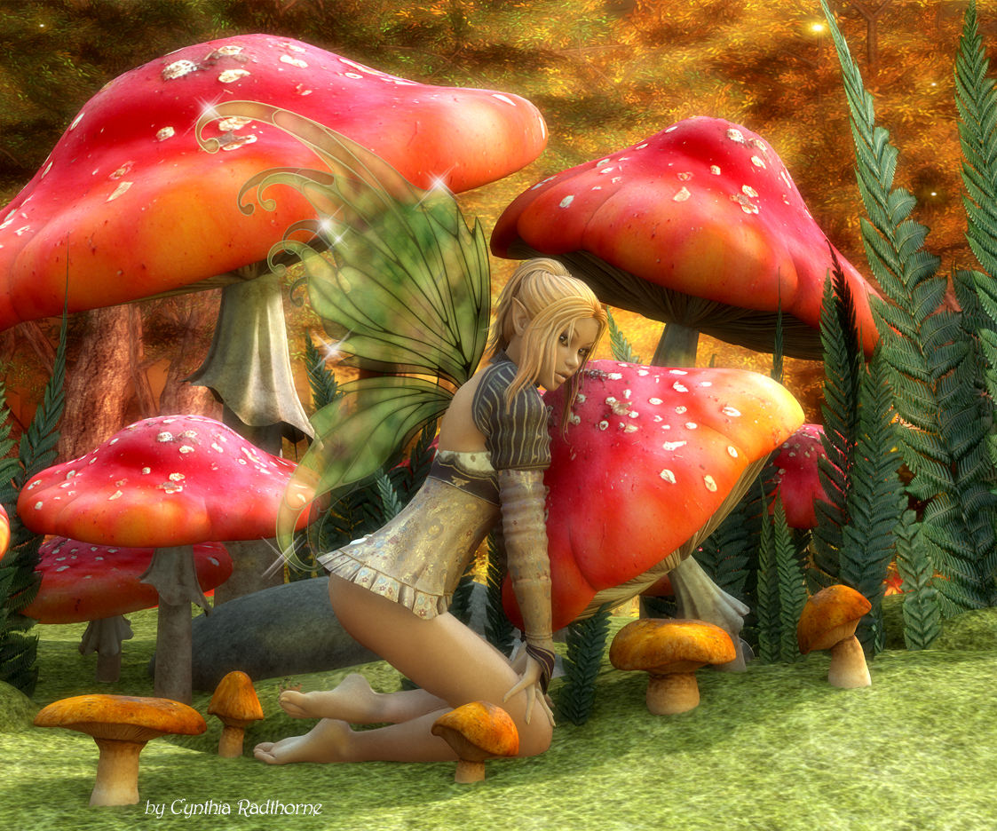 Even 'Shrooms Deserve A Little Love