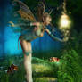 Catching The Fairy Light
